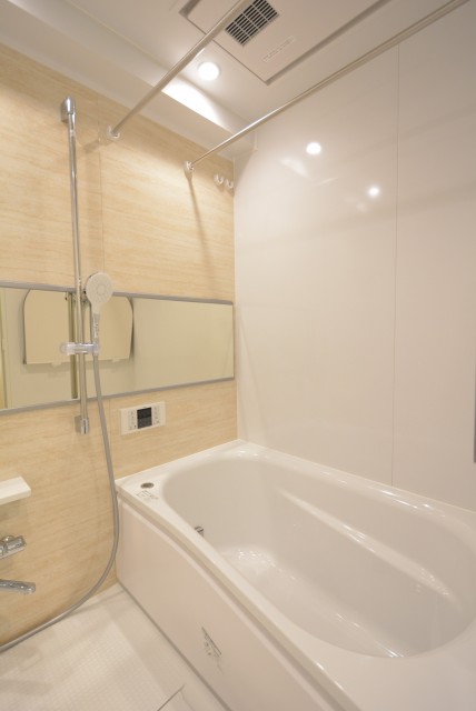 フリーディオ芝公園アネックス 浴室