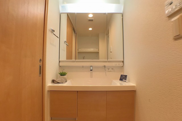 アルカンシエル高井戸 洗面