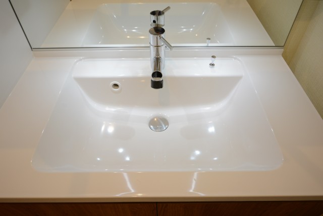 フリーディオ芝公園アネックス 洗面室