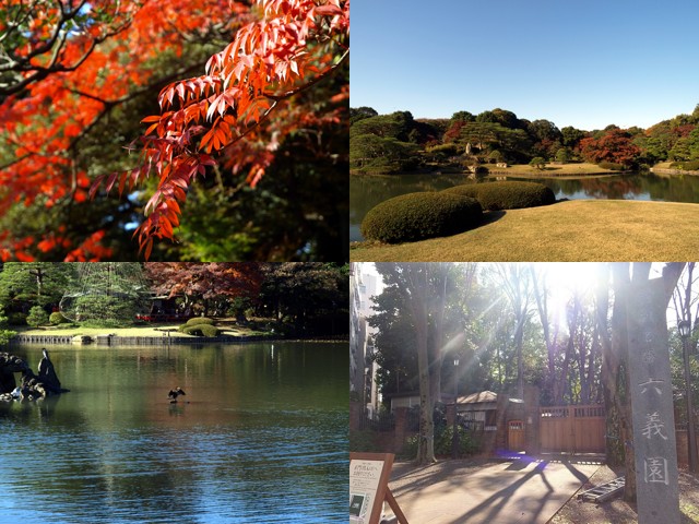 六義園サマリヤマンション　六義園