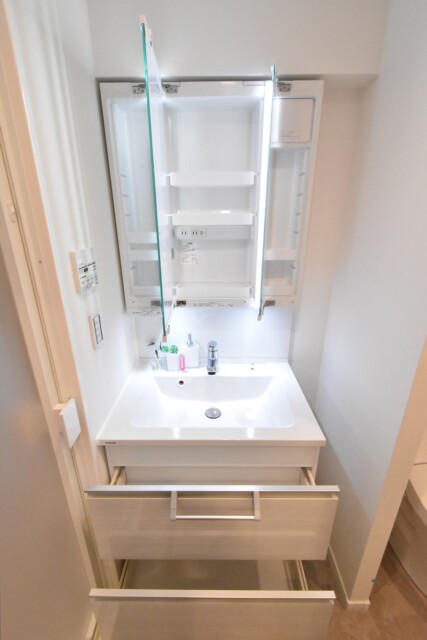 エム・ブランド新宿戸山公園 洗面室