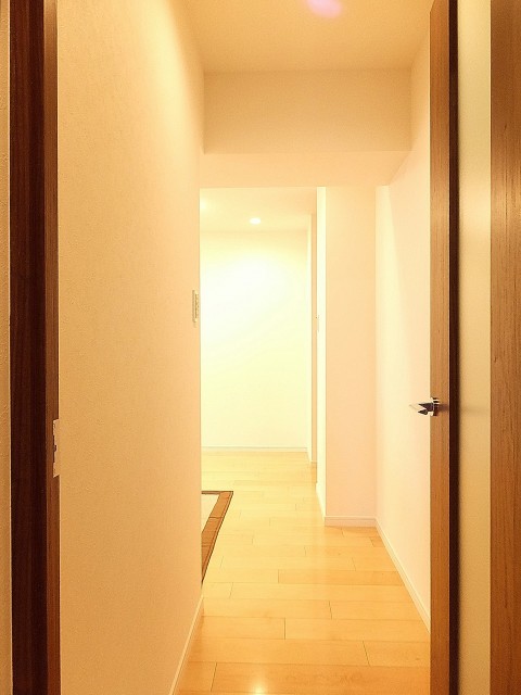 アイタウン・レピア　15.2帖のLDKの入口