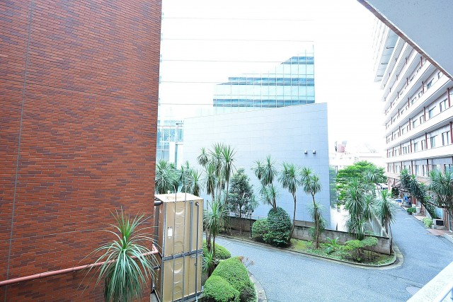 ニューステイトメナー　眺望