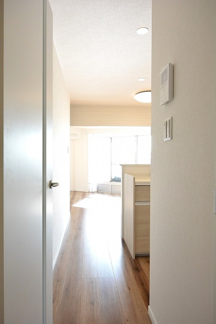 目白が丘マンション　16.5帖LDK入口