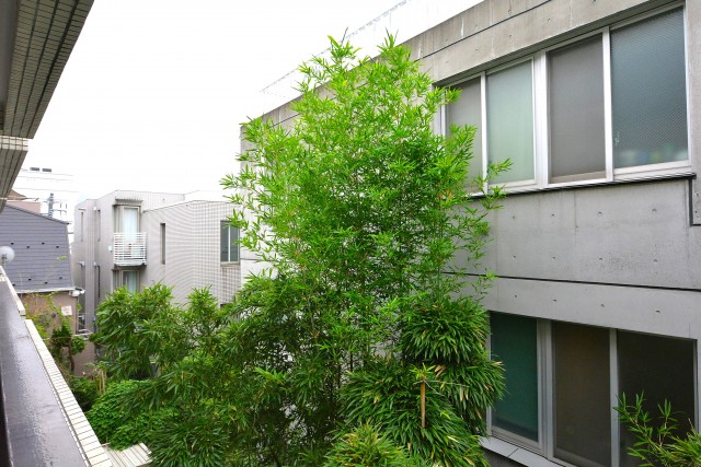 サンライン南青山ハイツ　眺望