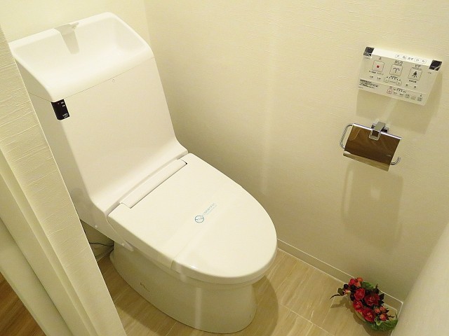 大森山王リハイム　トイレ