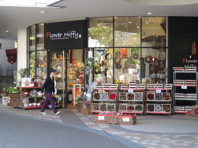 サンビューハイツ哲学堂　アイテラス落合南長崎