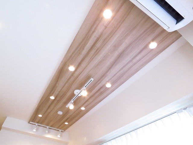 マイキャッスル学芸大学Ⅱ　天井