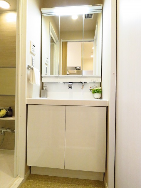マイキャッスル学芸大学Ⅱ　洗面化粧台