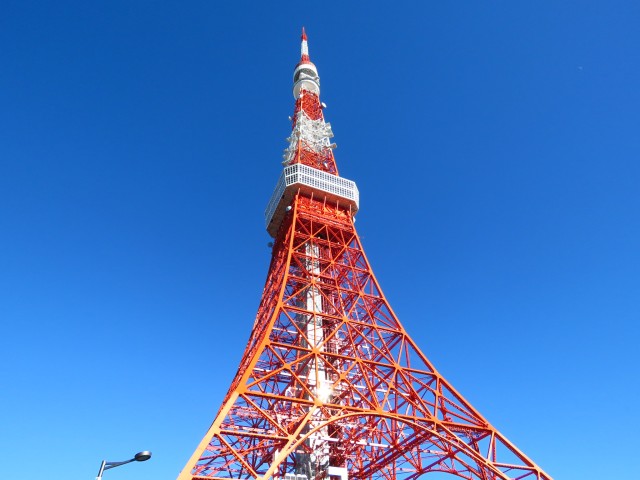 フリーディオ芝公園アネックス　東京タワー