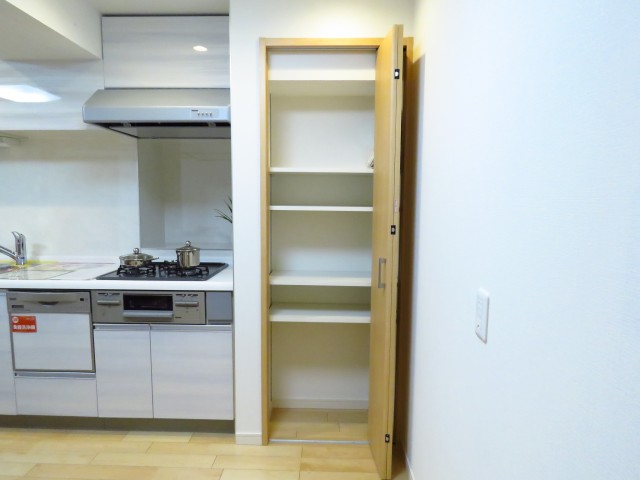 日商岩井碑文谷マンション　物入れ