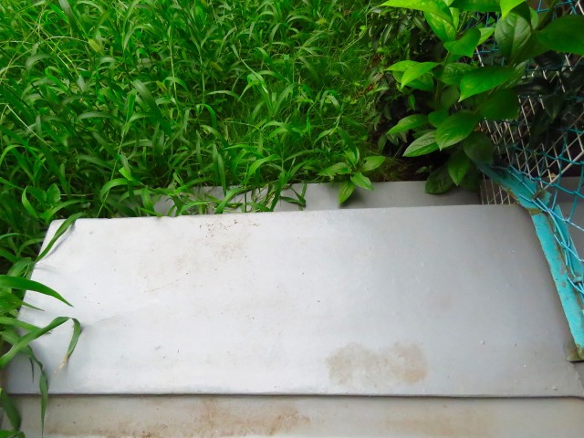 日商岩井碑文谷マンション　お庭