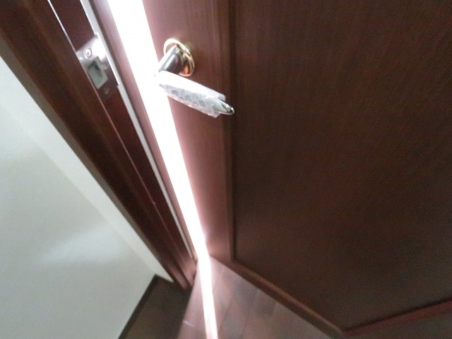 スカーラ西新宿シティプラザ　ＤＫ扉