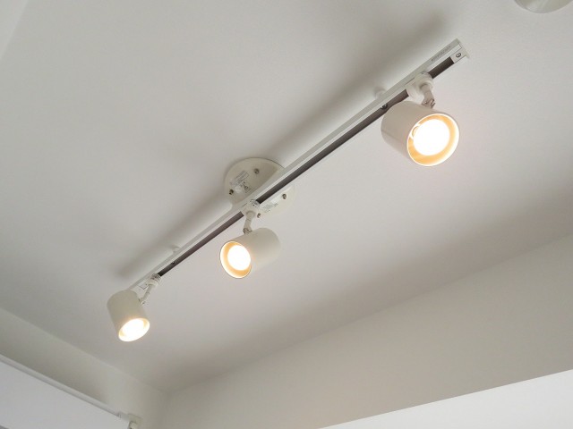 スカーラ西新宿シティプラザ　照明