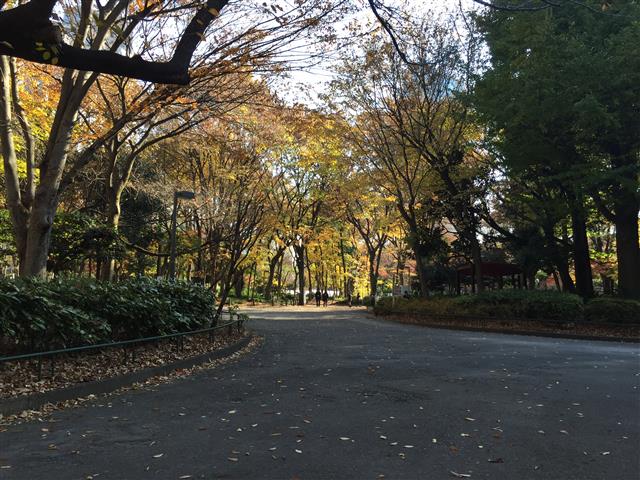 スカーラ西新宿シティプラザ　新宿中央公園