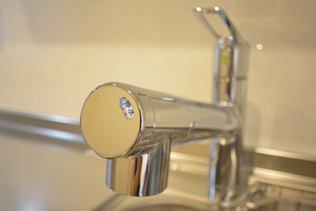 フリーディオ芝公園アネックス (33)キッチン