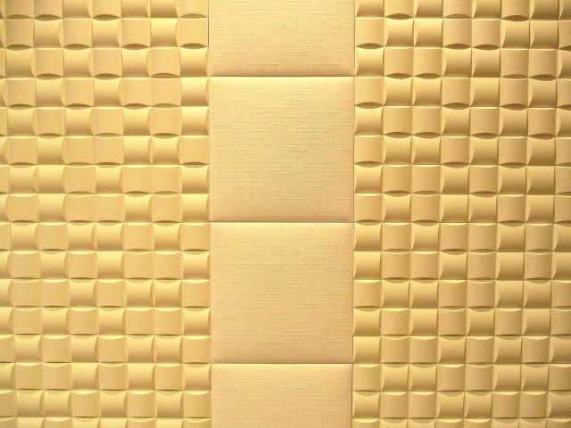 恒陽馬込マンション　5リビングのエコカラット