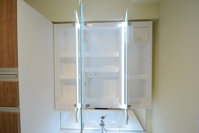 フリーディオ芝公園アネックス 洗面室