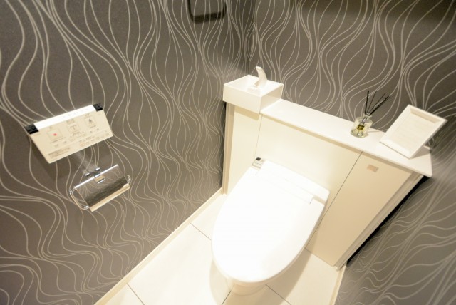 大森山王リハイム トイレ