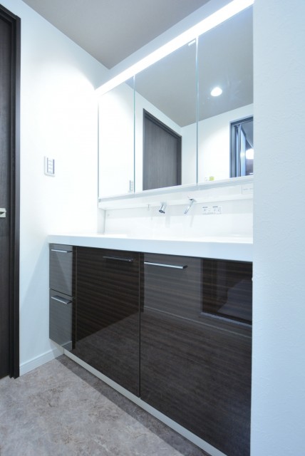 藤和シティホームズ新宿余丁町 洗面室