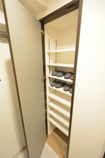 マイキャッスル学芸大学Ⅱ 玄関