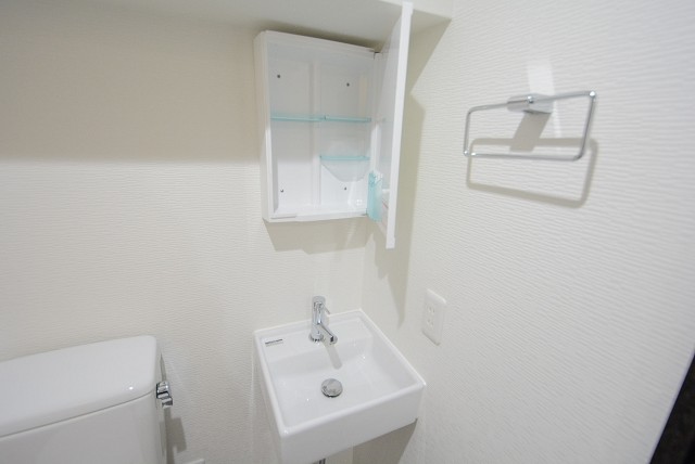 メゾン池尻大橋 洗面・トイレ