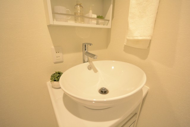 大森山王リハイム 洗面