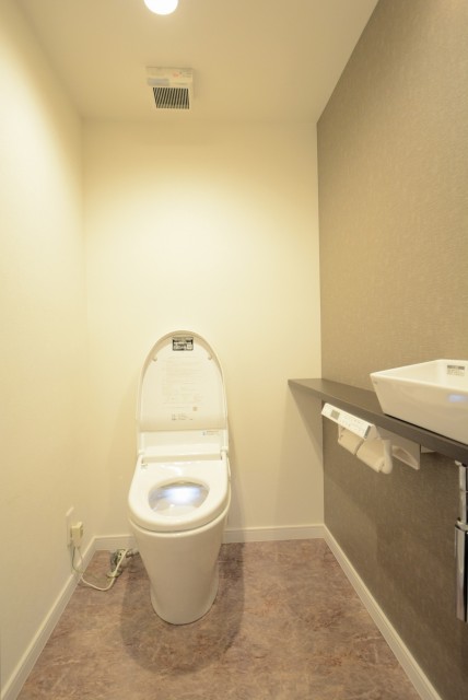 藤和シティホームズ新宿余丁町 トイレ1