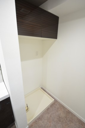 藤和シティホームズ新宿余丁町 洗面室