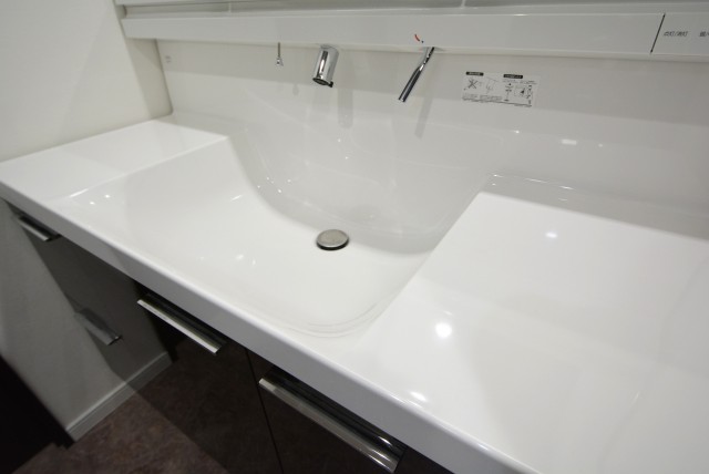 藤和シティホームズ新宿余丁町 洗面室