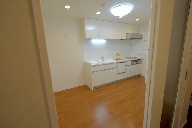 大森山王リハイム D