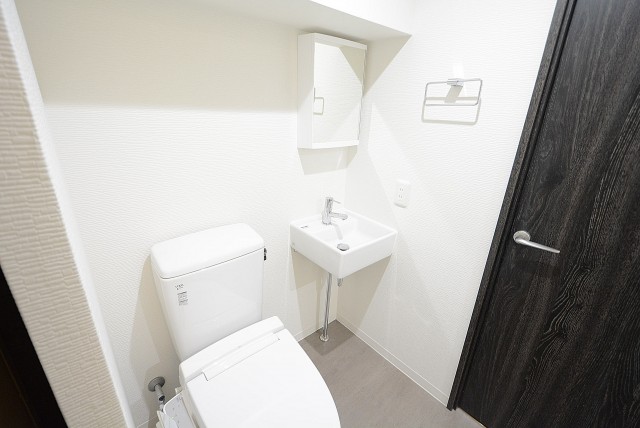 メゾン池尻大橋 (28)洗面・トイレ