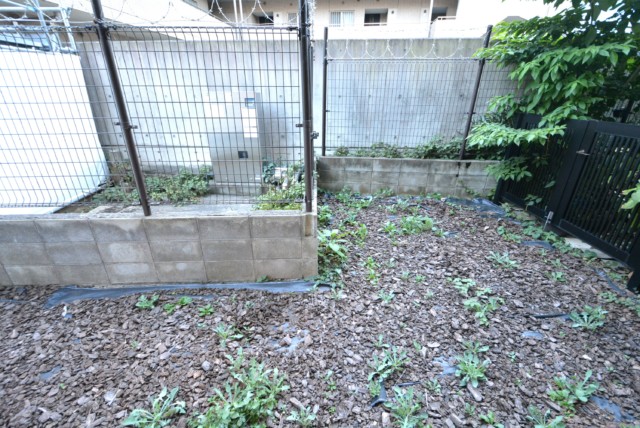 マイキャッスル学芸大学Ⅱ 専用庭