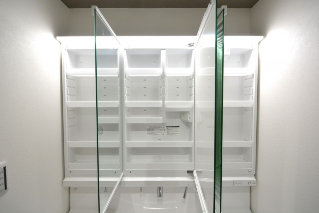 藤和シティホームズ新宿余丁町 洗面室