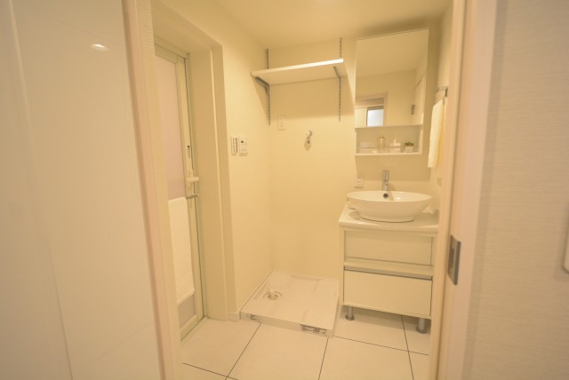 大森山王リハイム 洗面