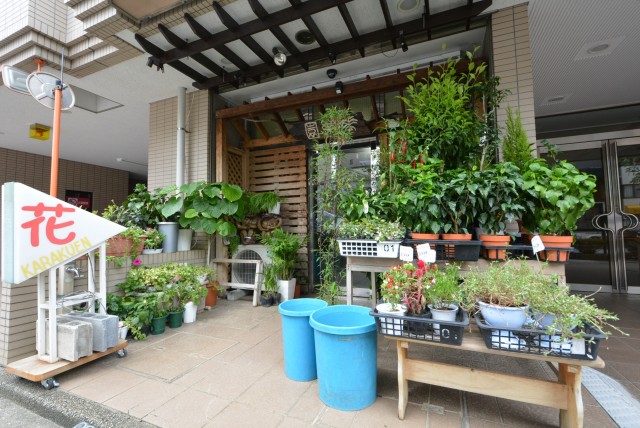 藤和シティホームズ新宿余丁町 エントランス