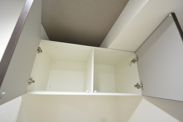 藤和シティホームズ新宿余丁町 洗面室