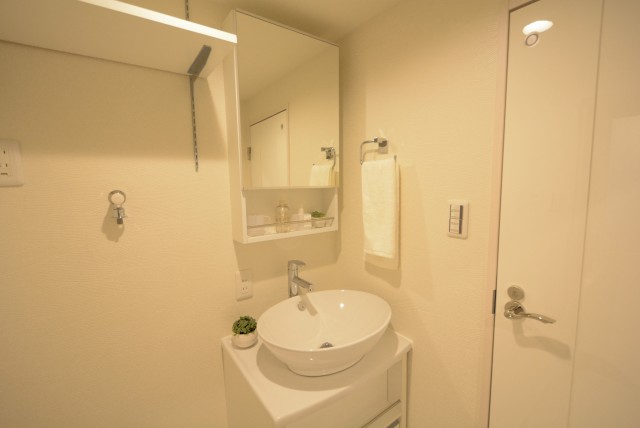 大森山王リハイム 洗面