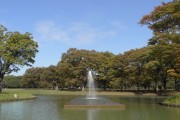ライオンズマンション参宮橋　代々木公園