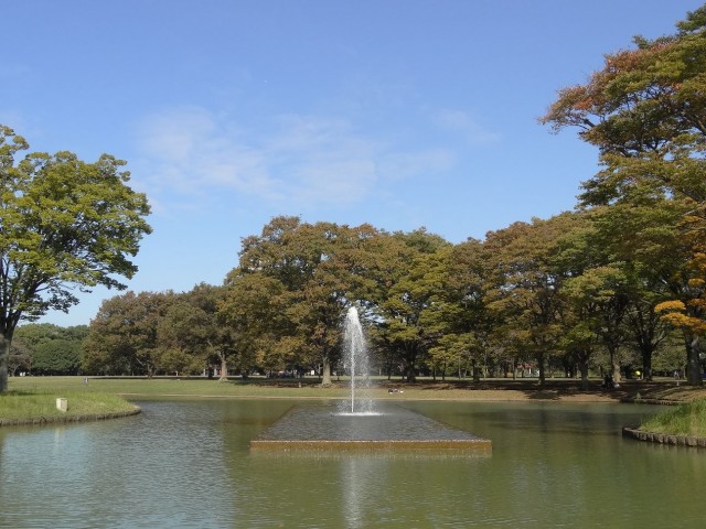 ライオンズマンション参宮橋　代々木公園