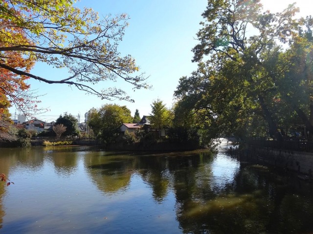 学芸大ハイツ　碑文谷公園
