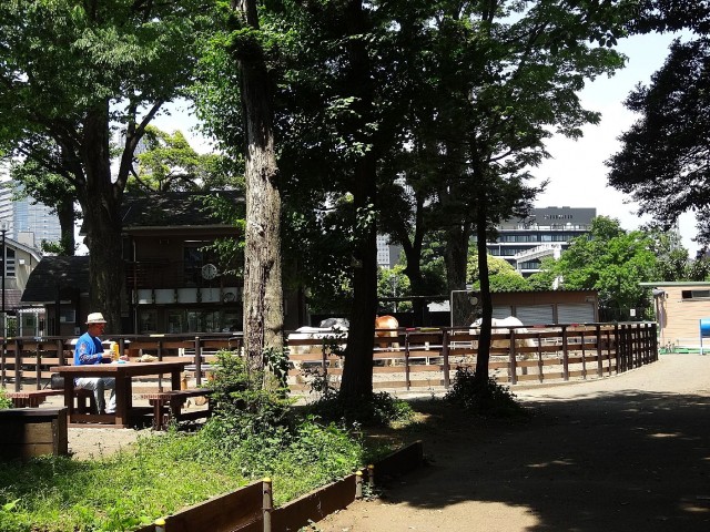 チサンマンション参宮橋　代々木ポニー公園