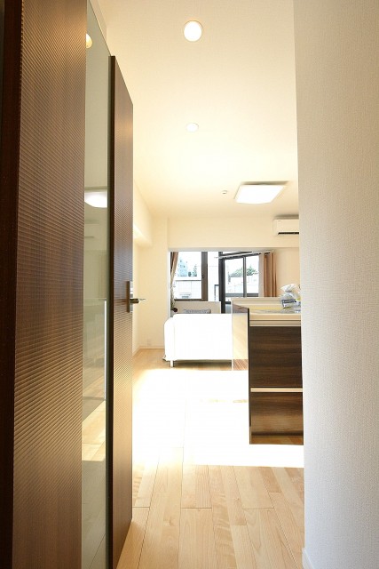 インペリアル赤坂フォラム　LDKドア