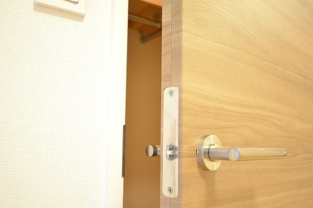 ストークビル赤坂　6.6帖洋室のWICドア