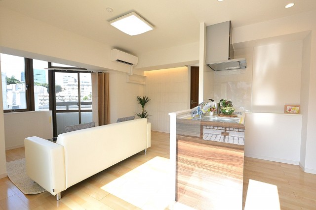 インペリアル赤坂フォラム　１２.５帖のLDK