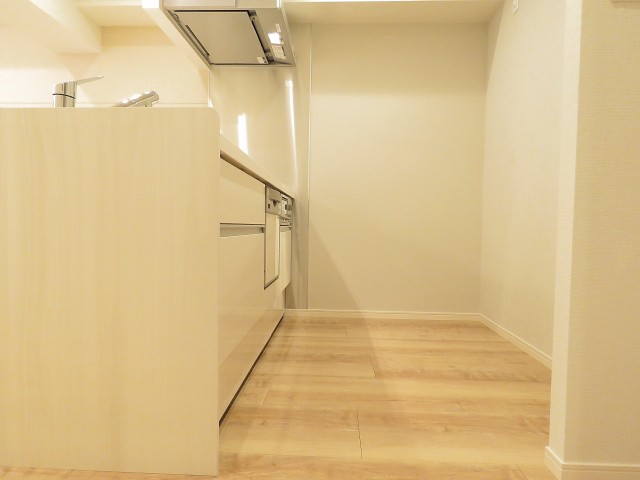 ハイライフ大森　キッチン