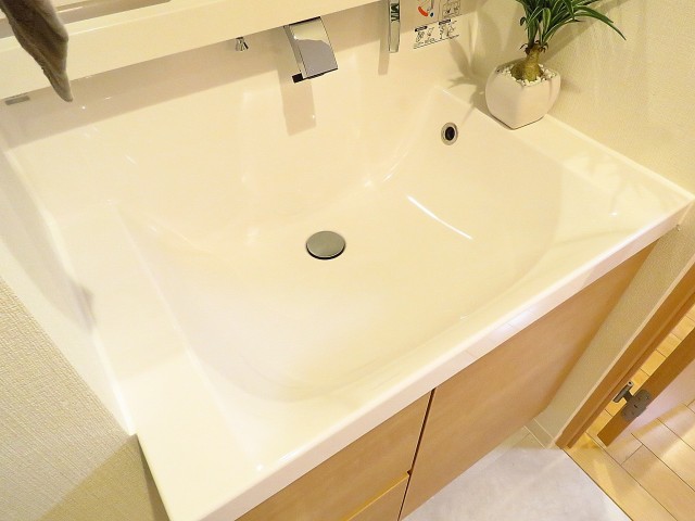 学芸大ハイツ　洗面ボウル