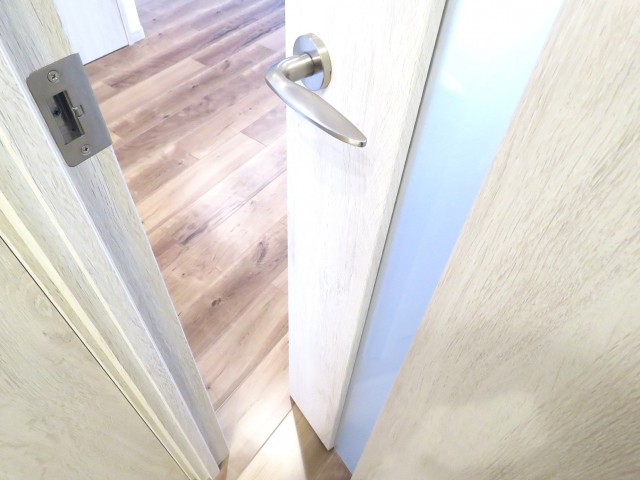 ビリジアン学芸大学　LDK扉