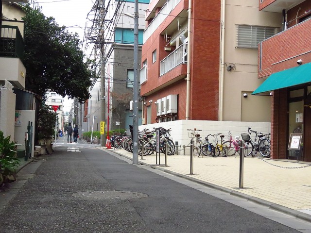 セブンスターマンション東山　エントランス前道路
