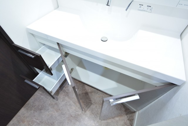 藤和シティホームズ新宿余丁町 洗面室